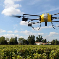 DronesAgricultura